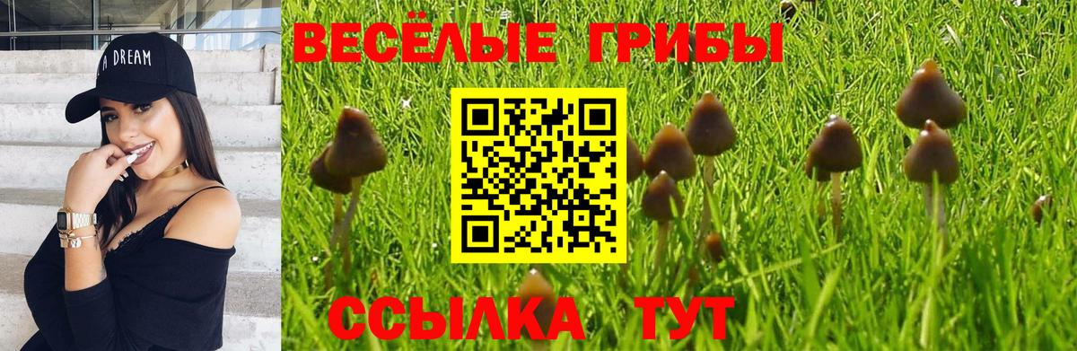 Старая Купавна  Галлюциногенные грибы Psilocybe  Вход с VPN 